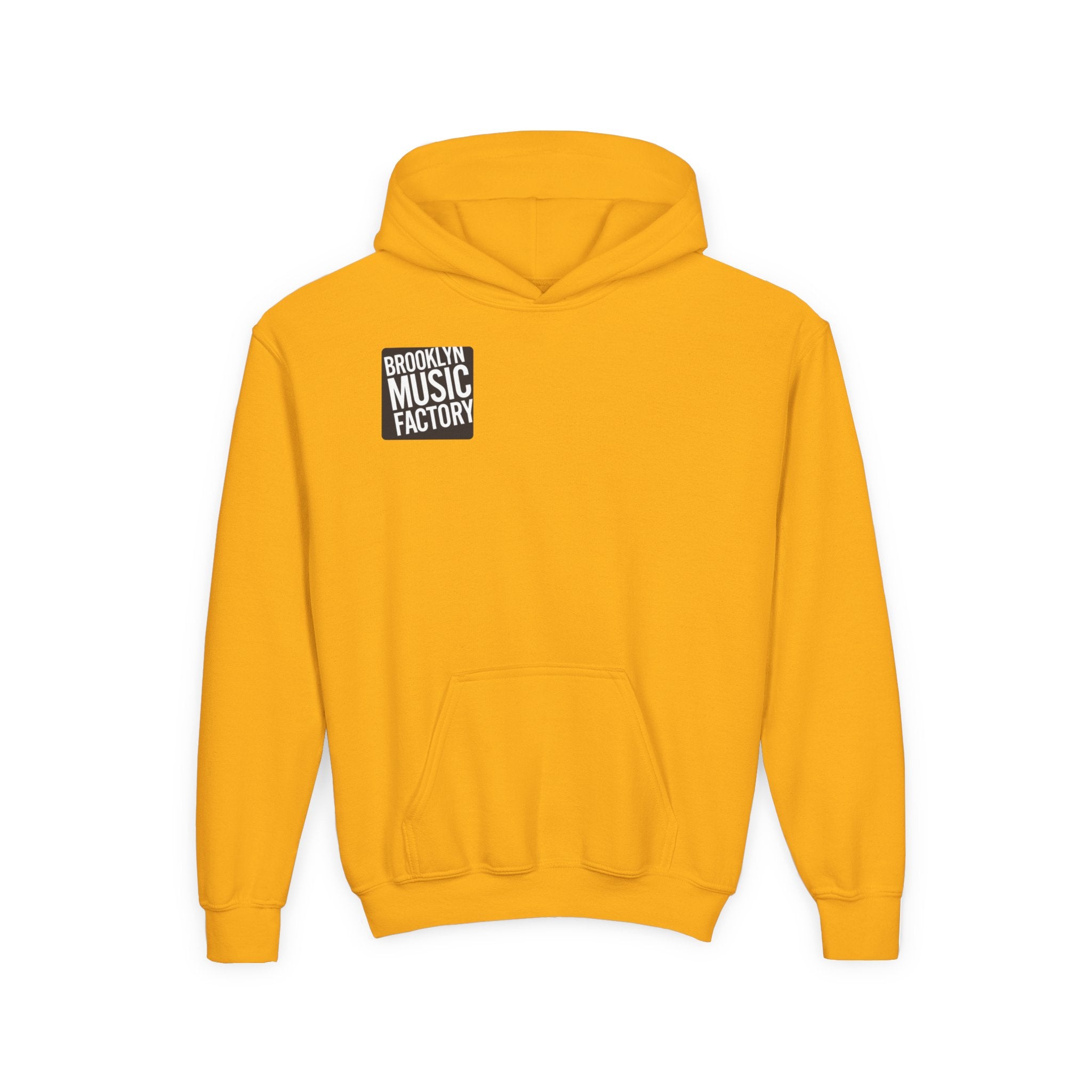 ONLINE ONLY Youth Hoodie — 'Brooklyn Music Factory' Kids Band Graphic Hoodie (I'm In The Band)